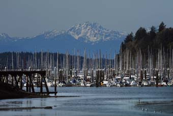 Port of Olympia